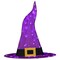 Gemmy Gemmy Purple 50 ct 30 in. LED Prelit Witch Hat Yard Decor 550540 - alternate 1